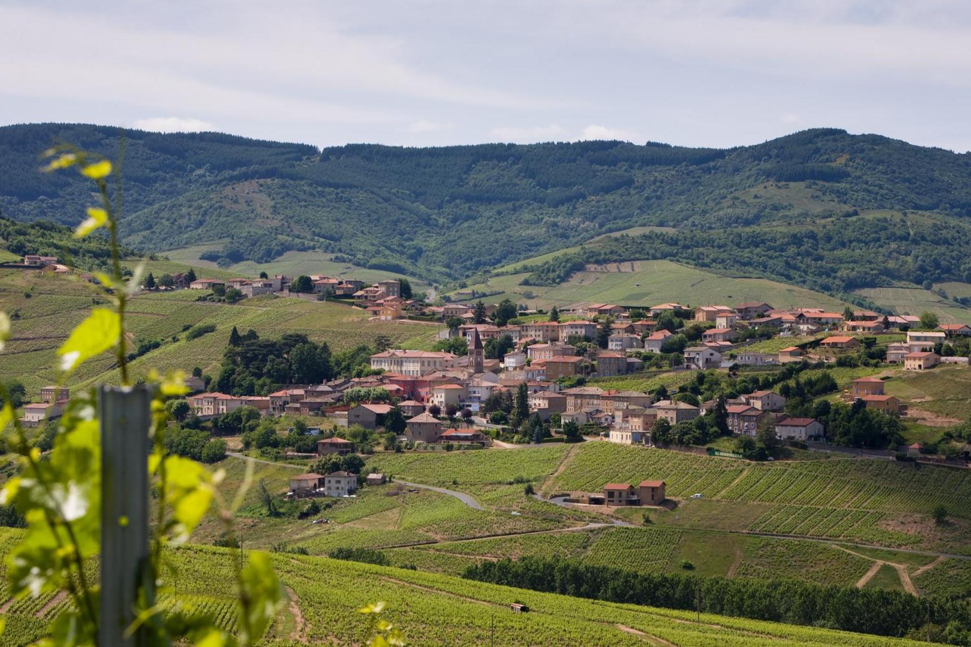 Auberge De Clochemerle, Spa Privatif & Restaurant Gastronomique Vaux-en-Beaujolais Bagian luar foto